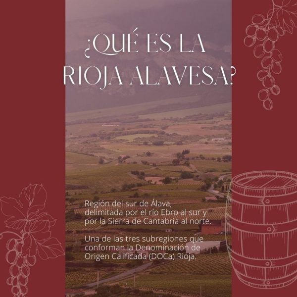 ¿Qué es Rioja Alavesa? Conoce la famosa subzona de Rioja