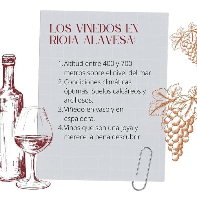 Viñedos Rioja Alavesa